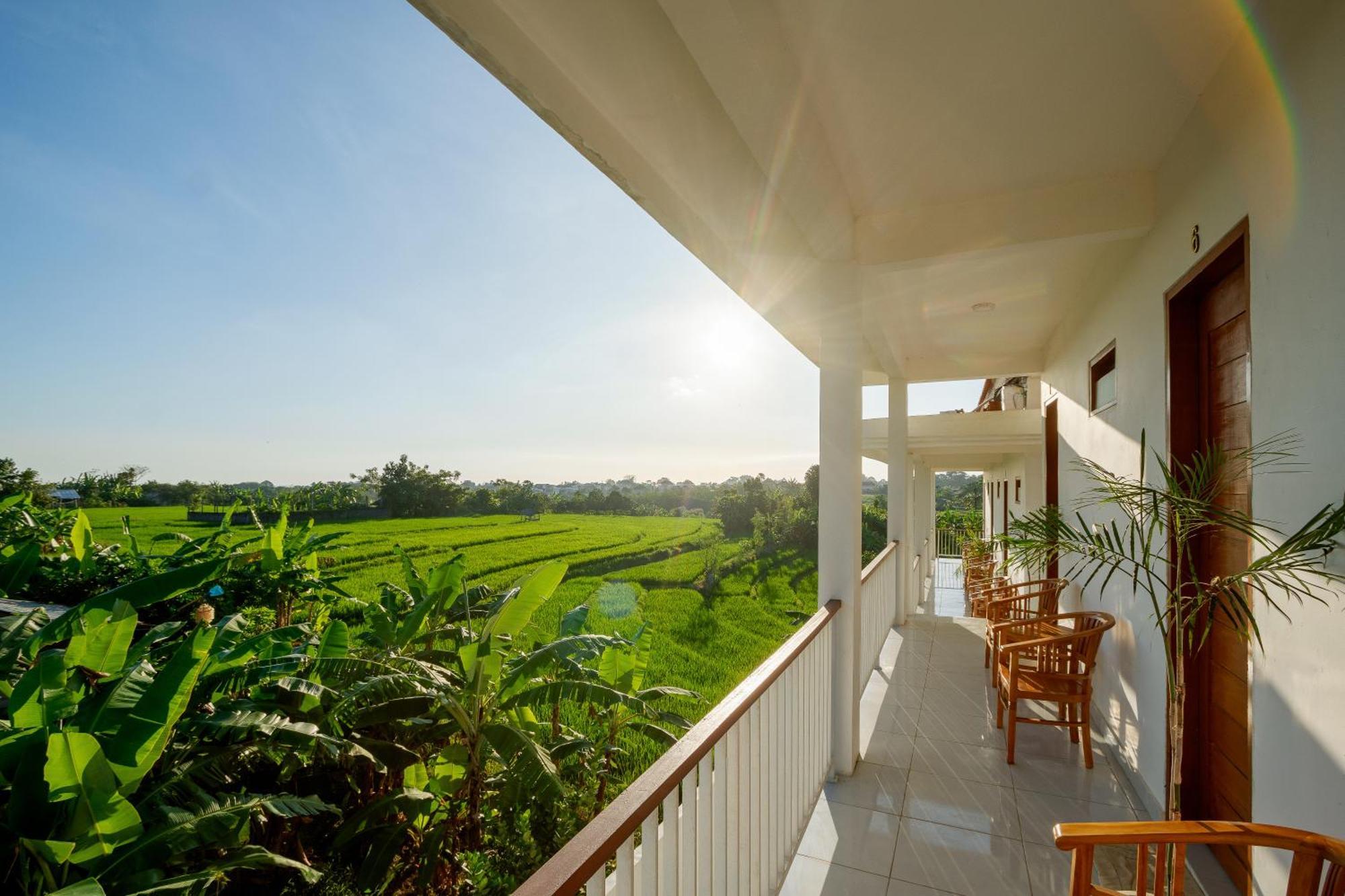 Eden Guest House Canggu Экстерьер фото